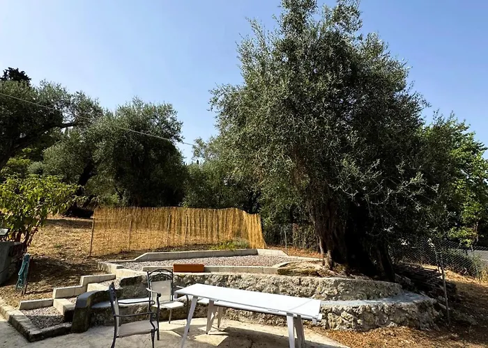 Olive Spell Gastouri House 가스투리온
