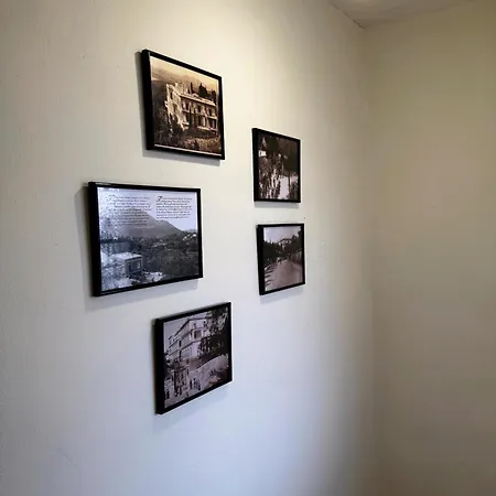 Olive Spell Gastouri House